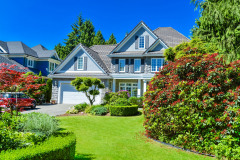 Luxury Residential House With Green Hedge And Landscaping In Front. Family House Surrounded By Trees